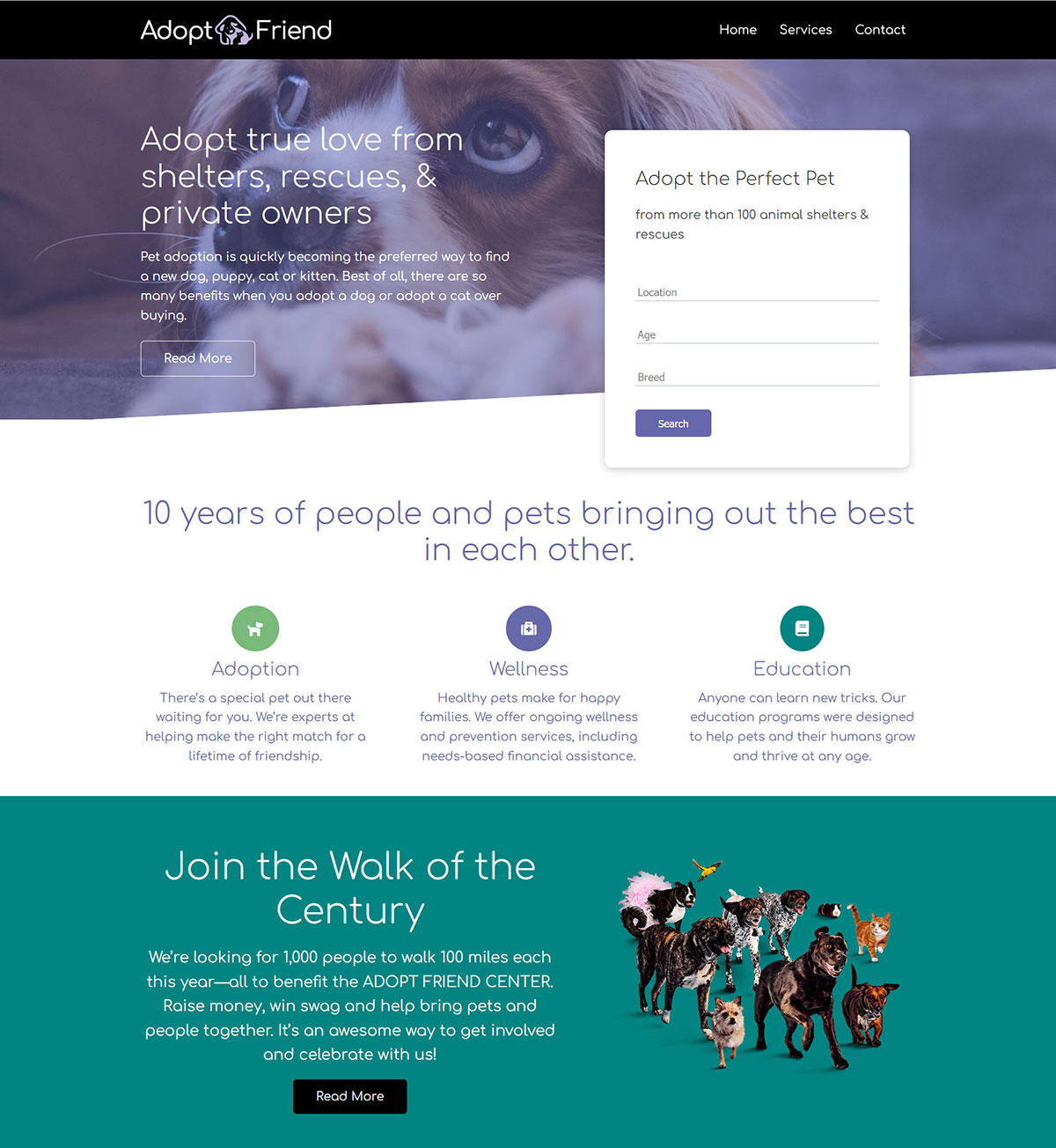 Web Application